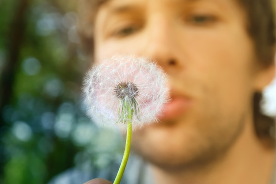 Can Your Flooring Affect Your Allergies Can Your Flooring Affect Your Allergies?