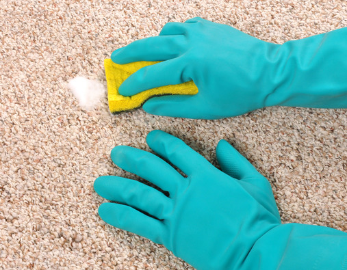 Carpet Care And Maintenance Tips Carpet Care And Maintenance Tips